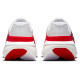 Nike Downshifter 14